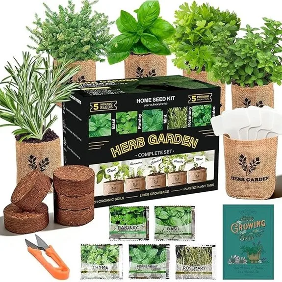 five herb indoor kitchen starter