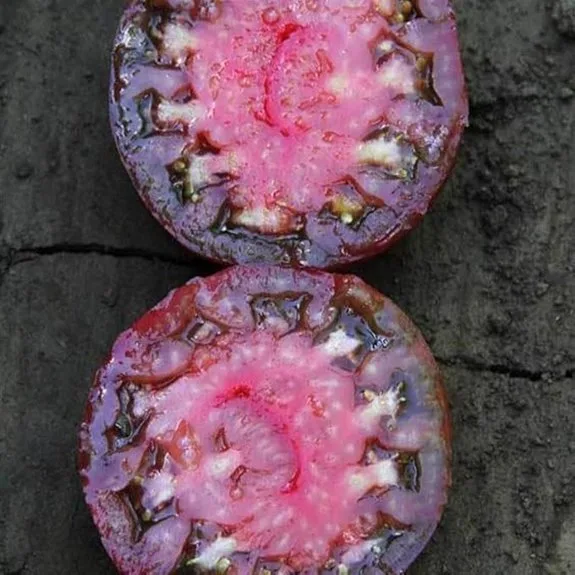 heirloom black krim tomato