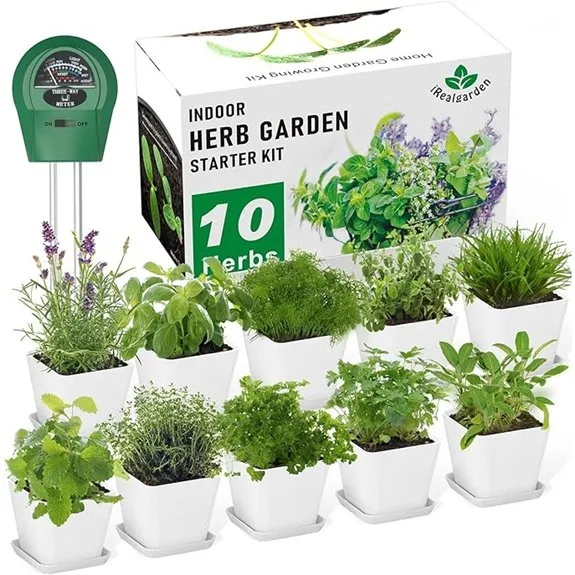 indoor herb garden kit