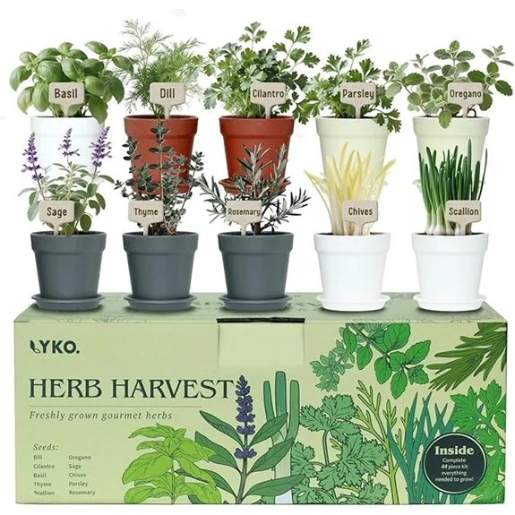 ten pot indoor herb kit