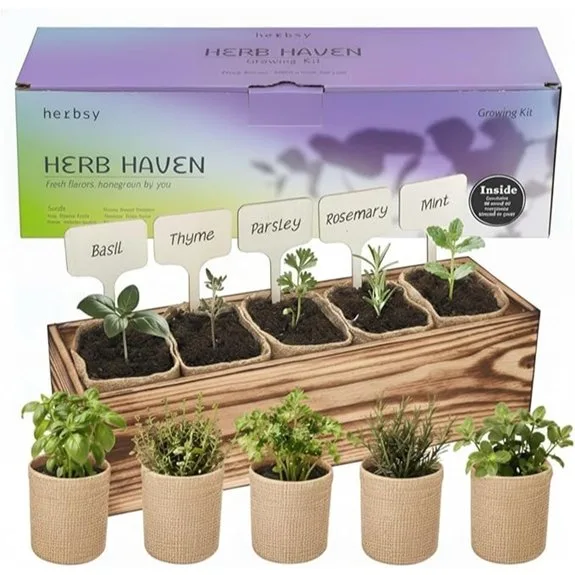 wooden boxed five herb kit